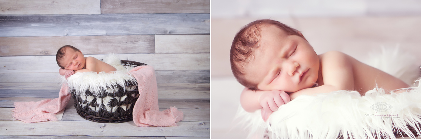 newborn baby in basket