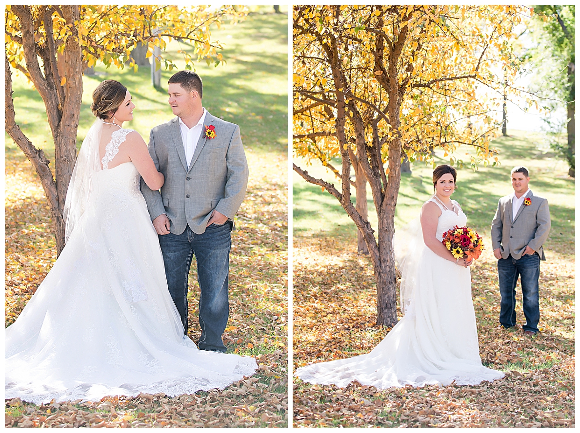 Wedding photos in fall trees