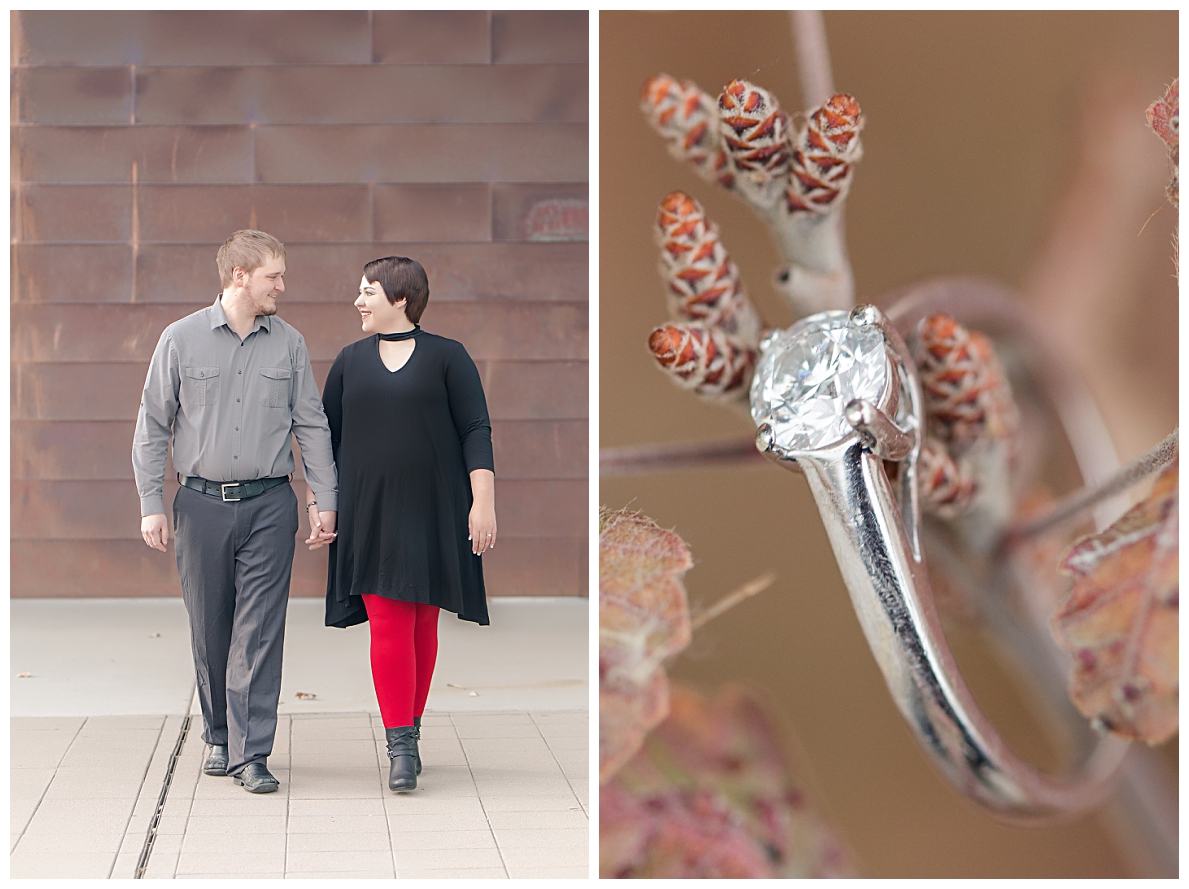 Bismarck Heritage Center Engagement Pictures