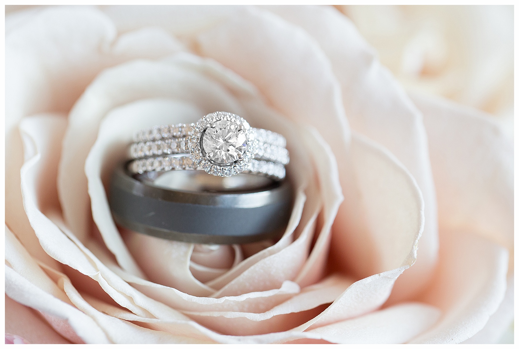 Wedding Rings blush flowers