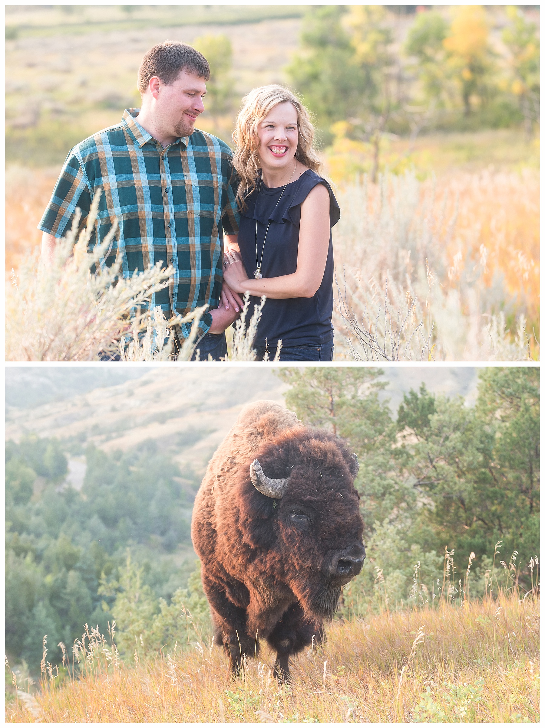 Engagement Pictures in National Park North Dakota