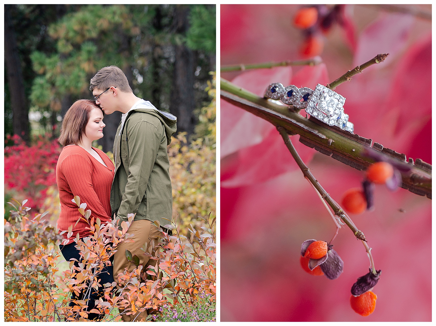 Engagement Pictures Dickinson North Dakota