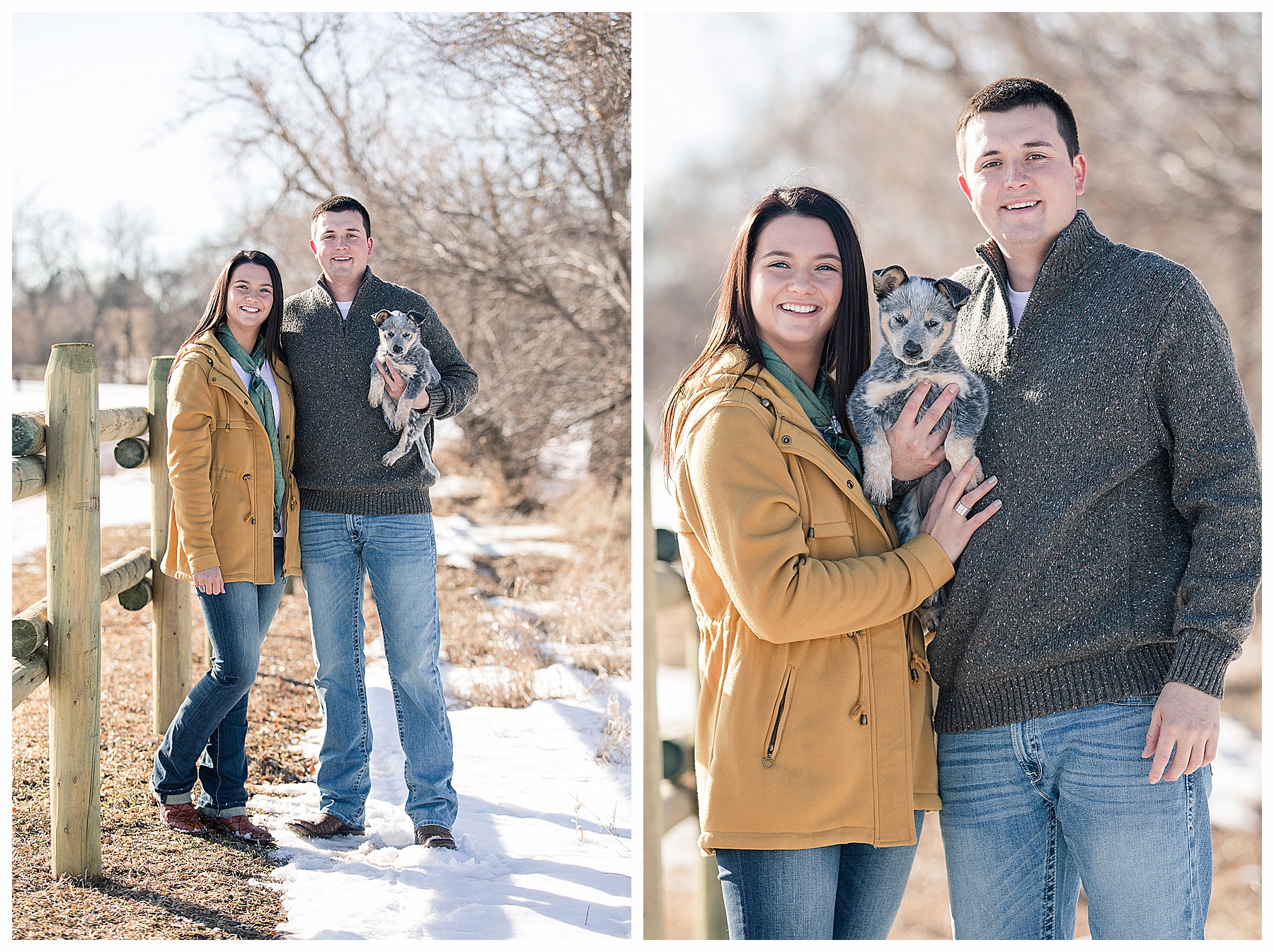 engagement pictures with puppy