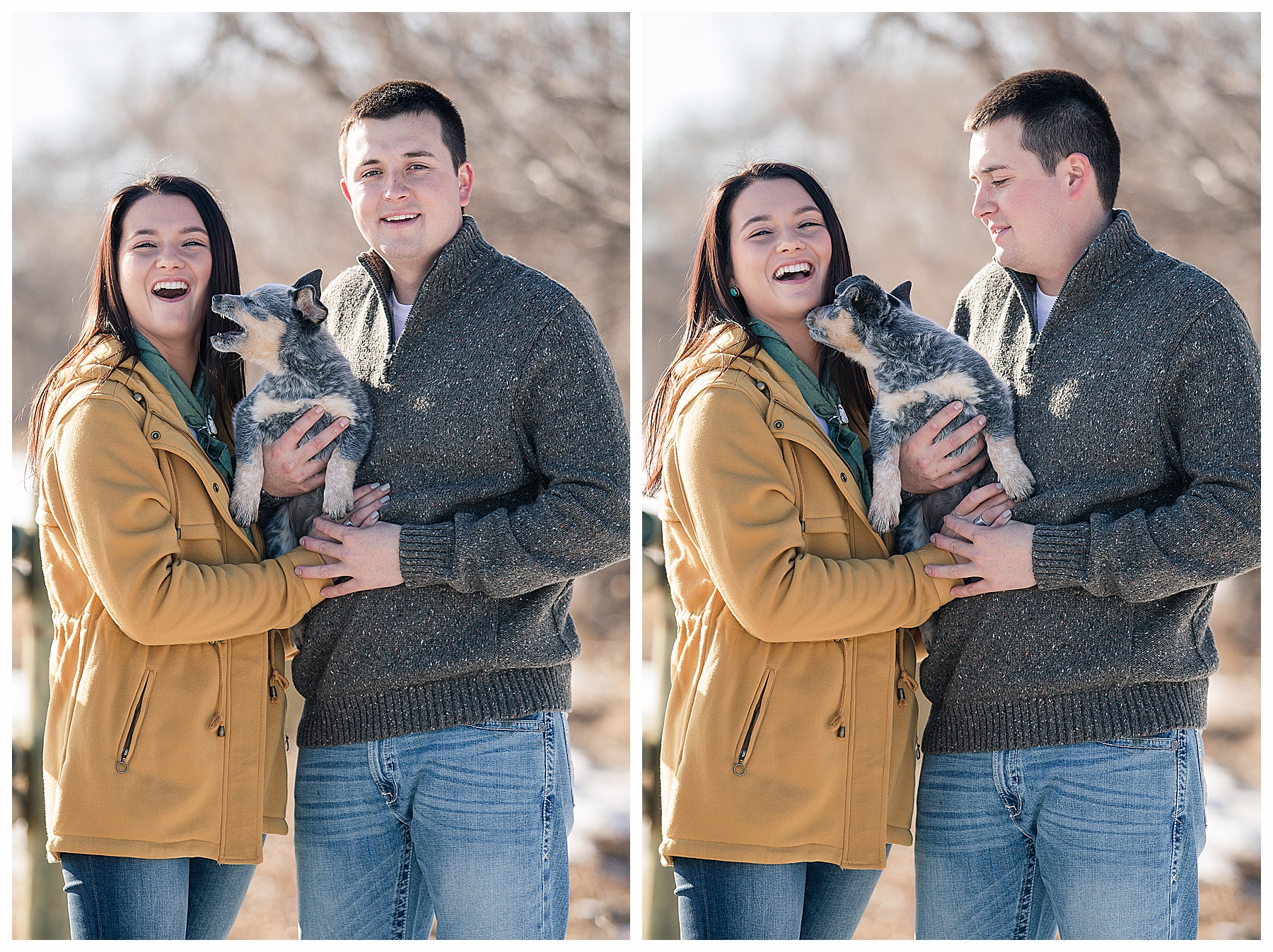 engagement pictures with puppy