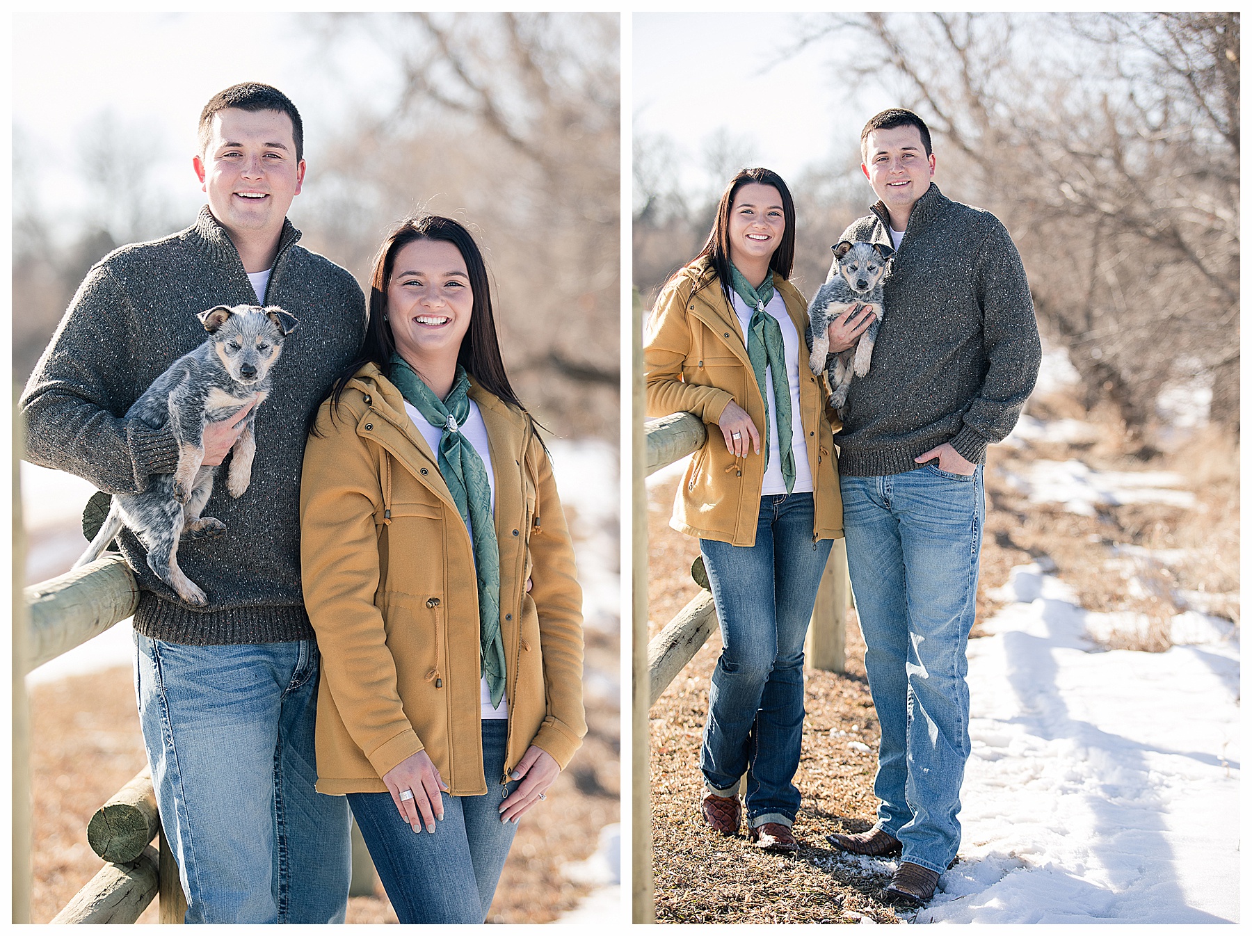 engagement pictures with puppy