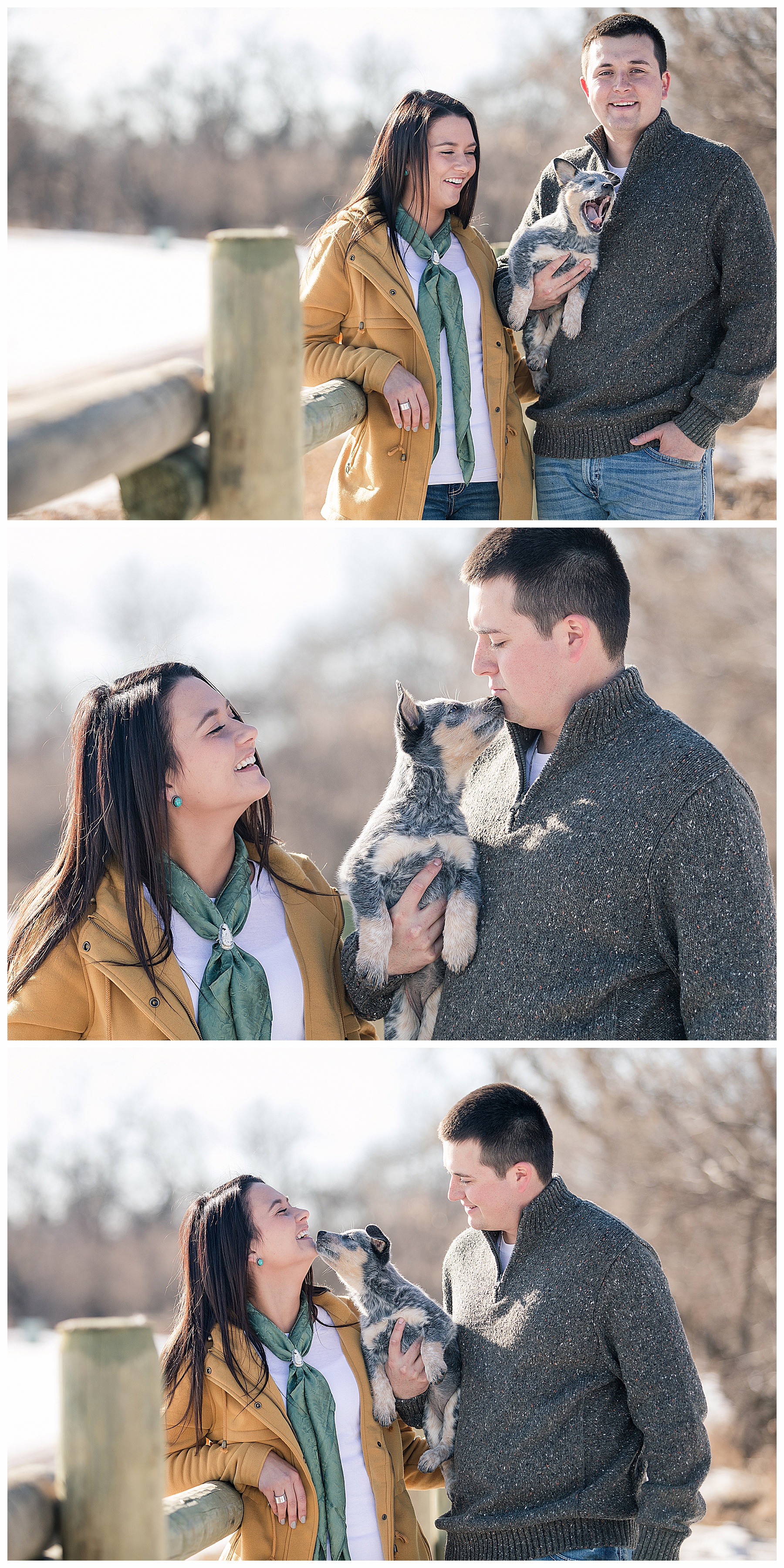 engagement pictures with puppy