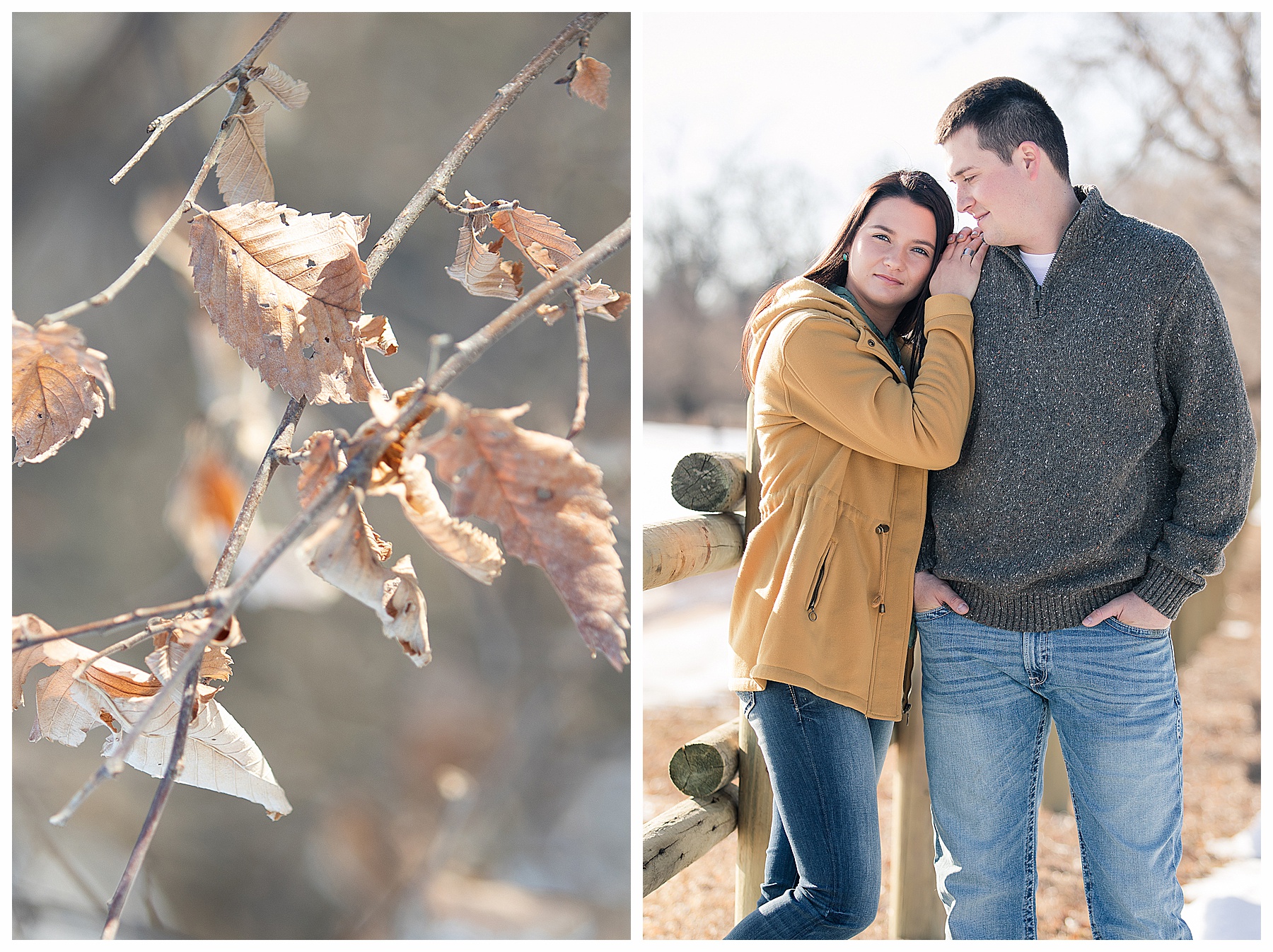 engagement pictures with puppy