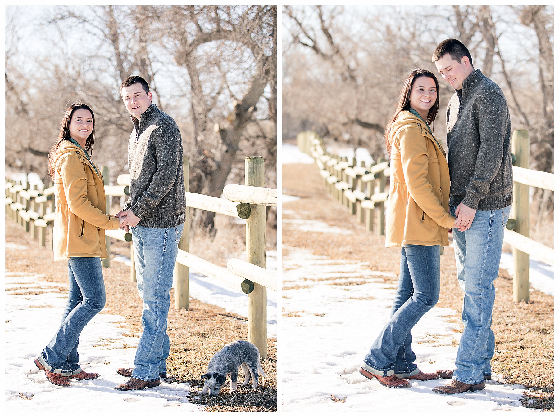 engagement pictures with puppy