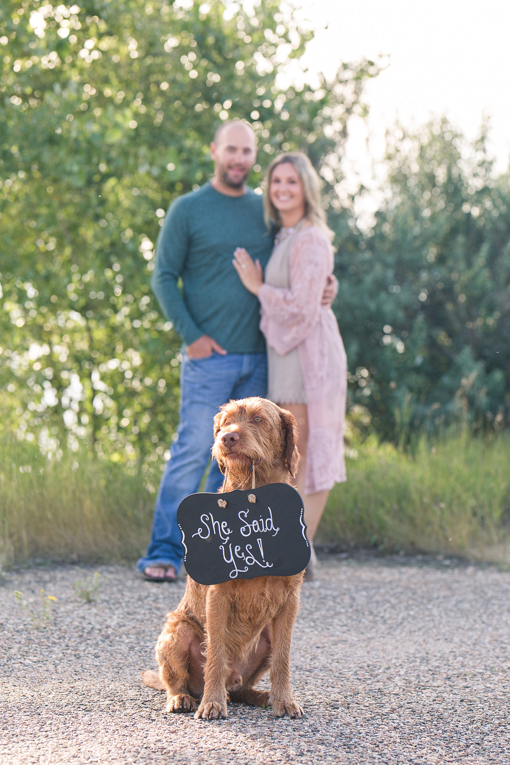 Engagement pictures with dog