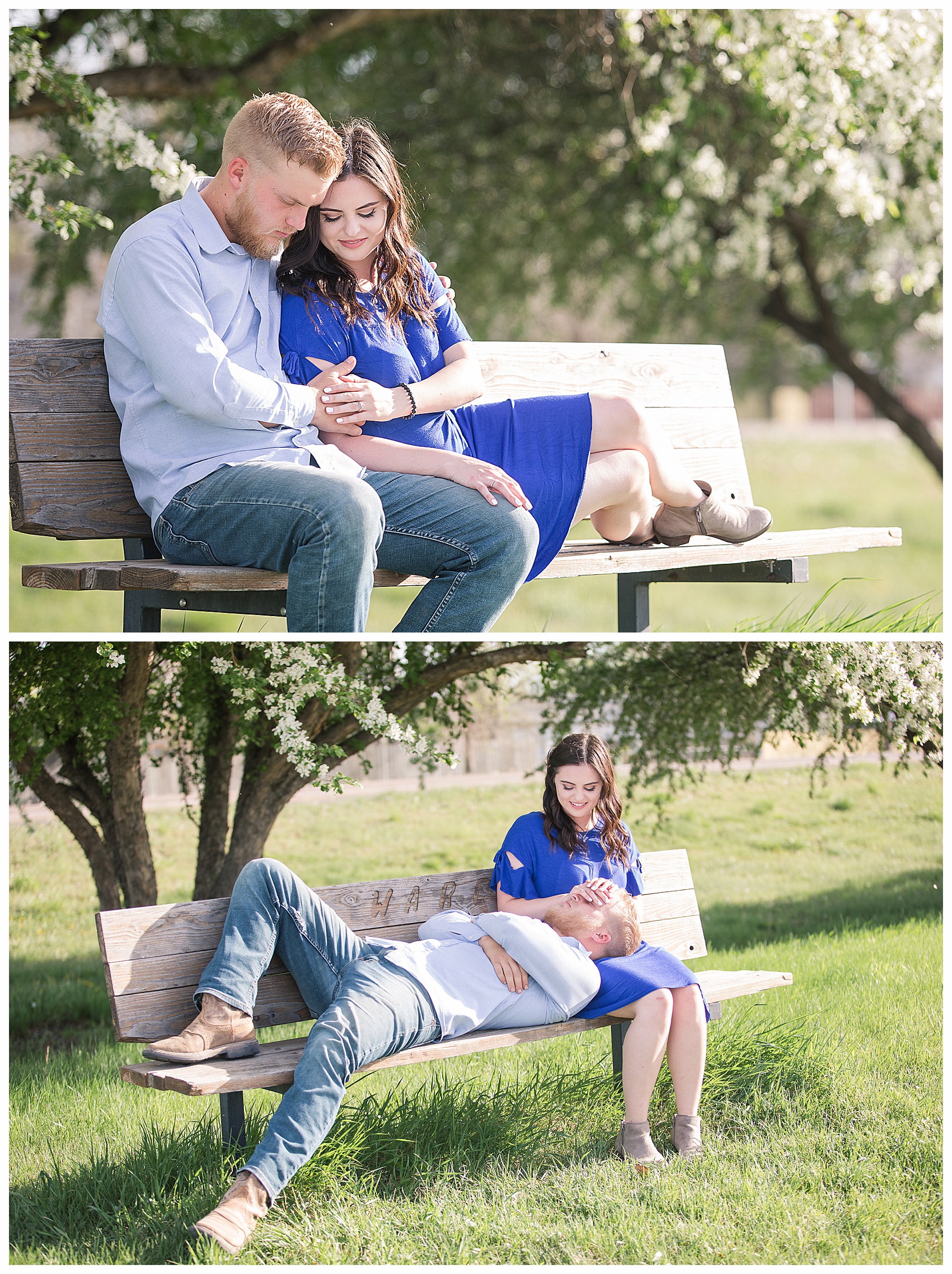 Engagement pictures on a bench