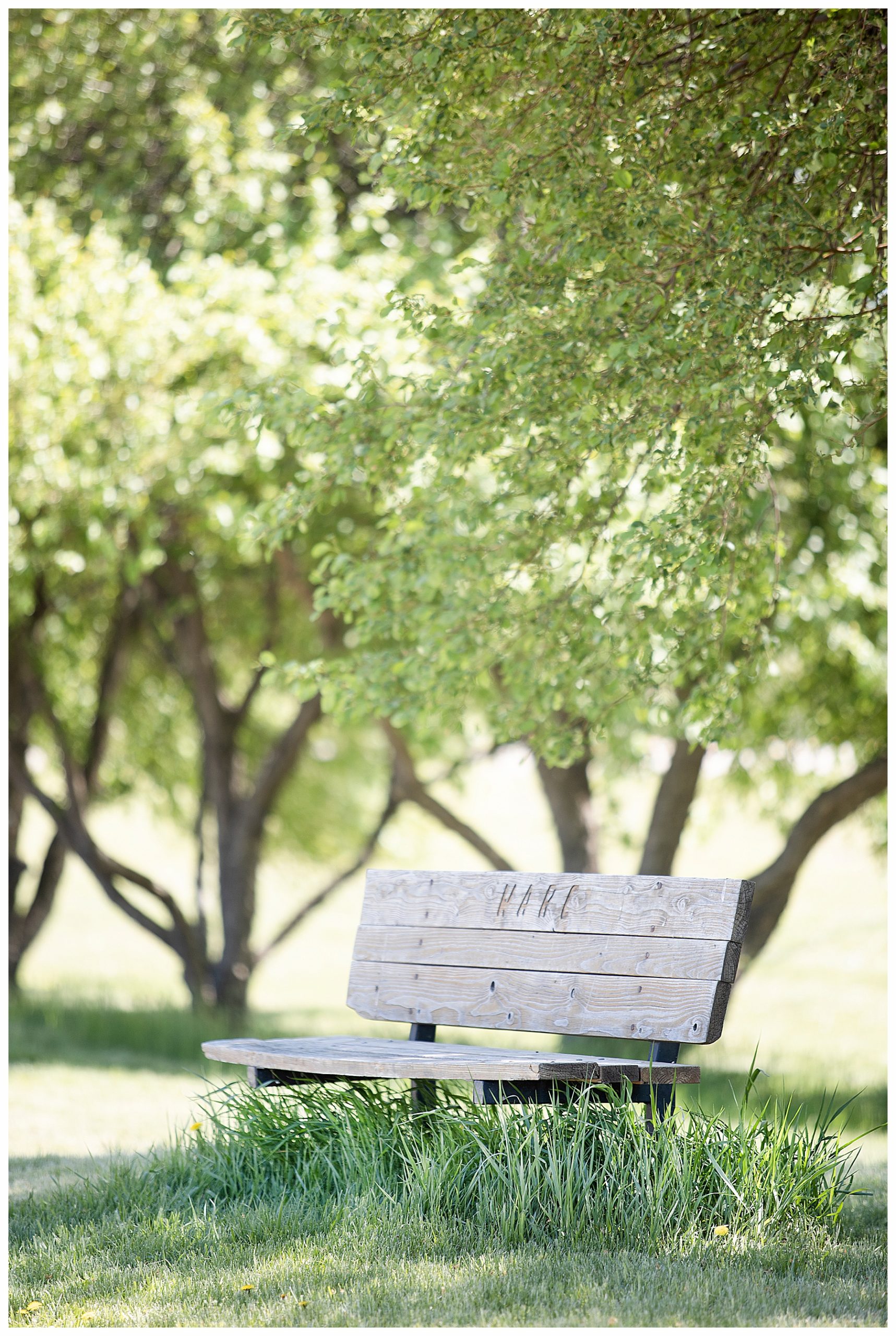 little bench on the side of the road