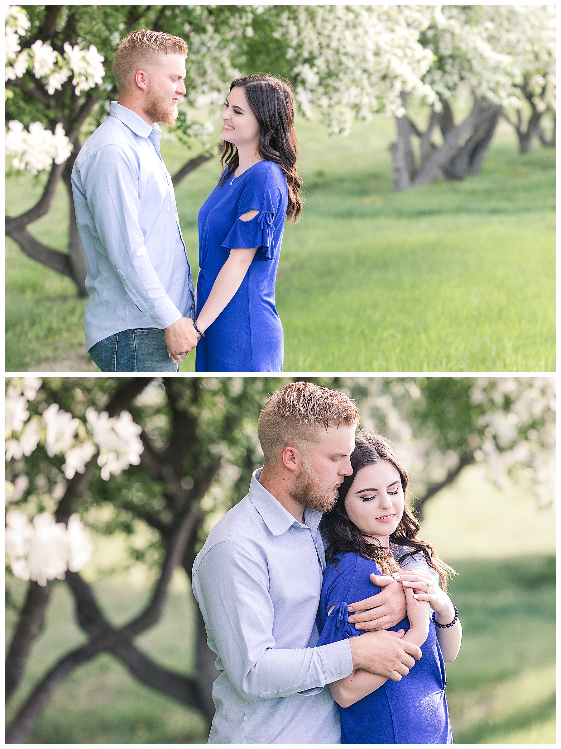 Engagment pictures in North Dakota by flowering trees