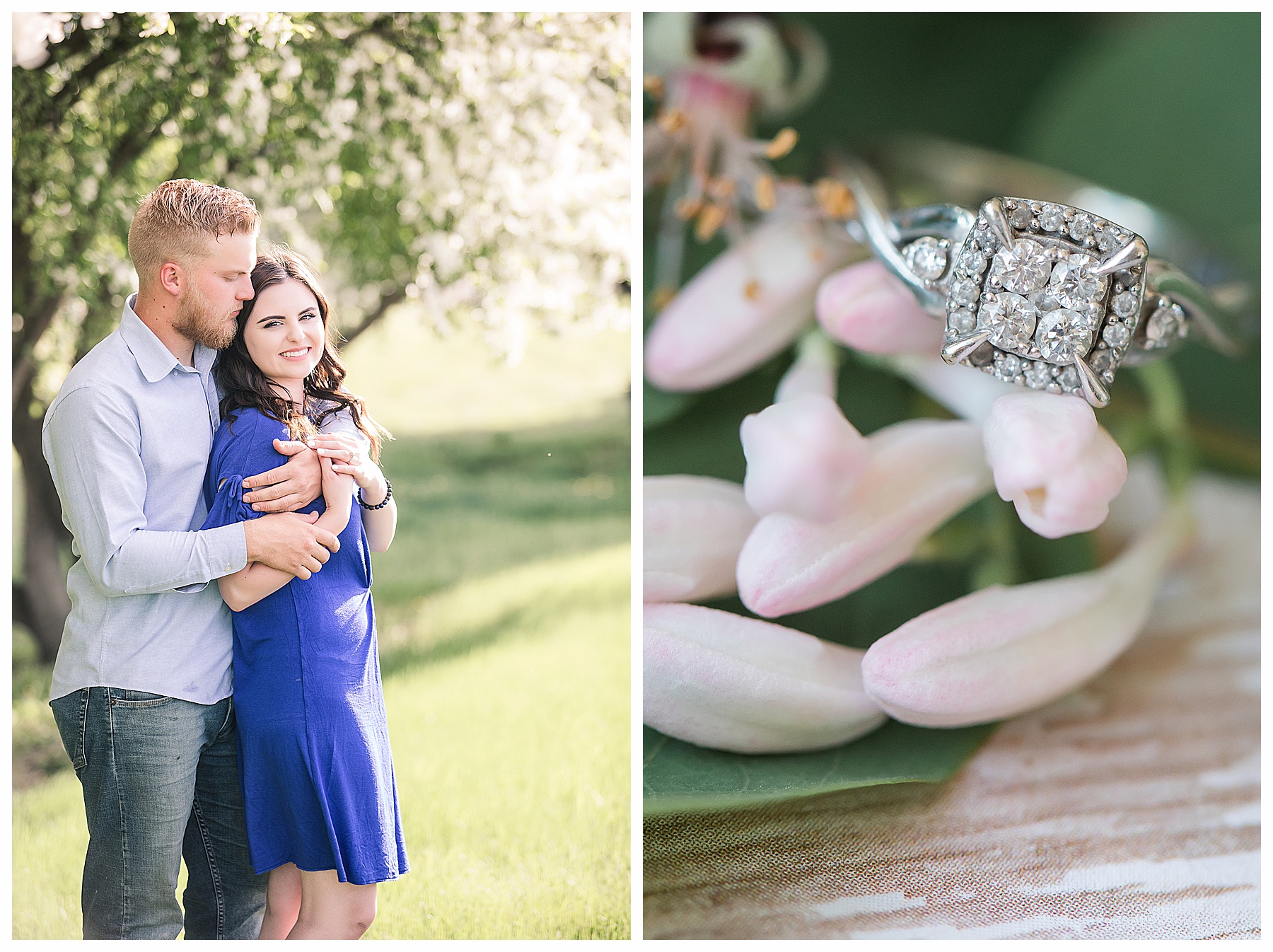 Spring engagement pictures by flowering white trees