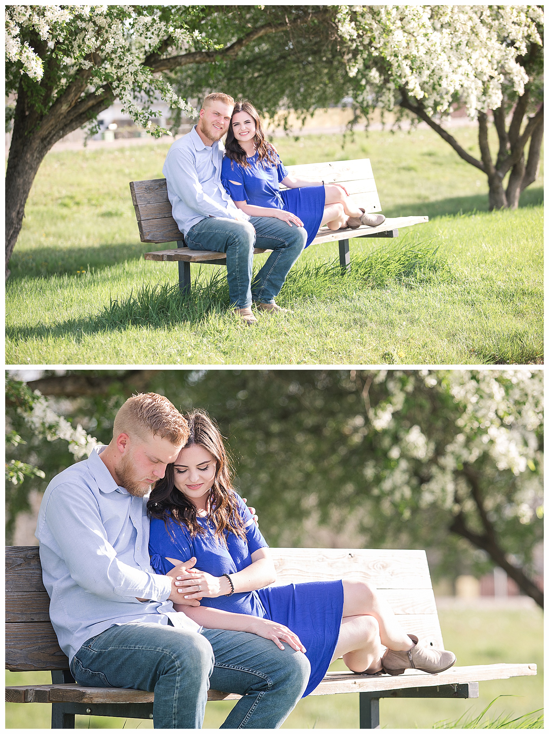 Engagement pictures on a bench with flowering white trees