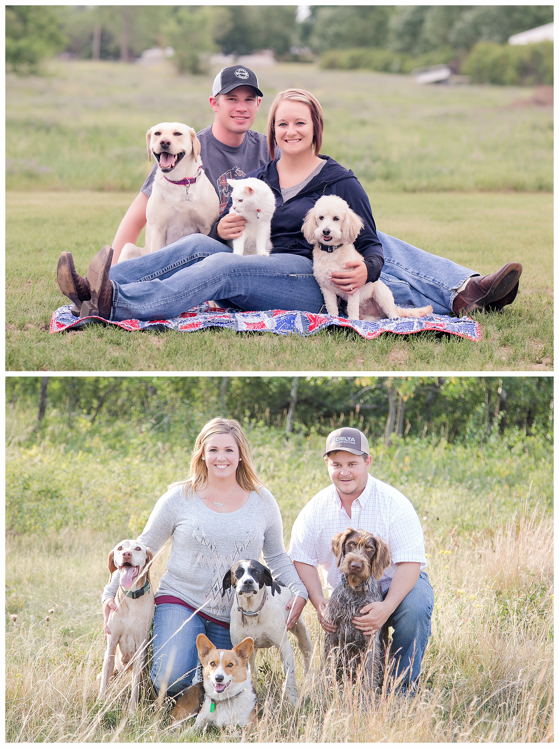 Engagement pictures with dogs