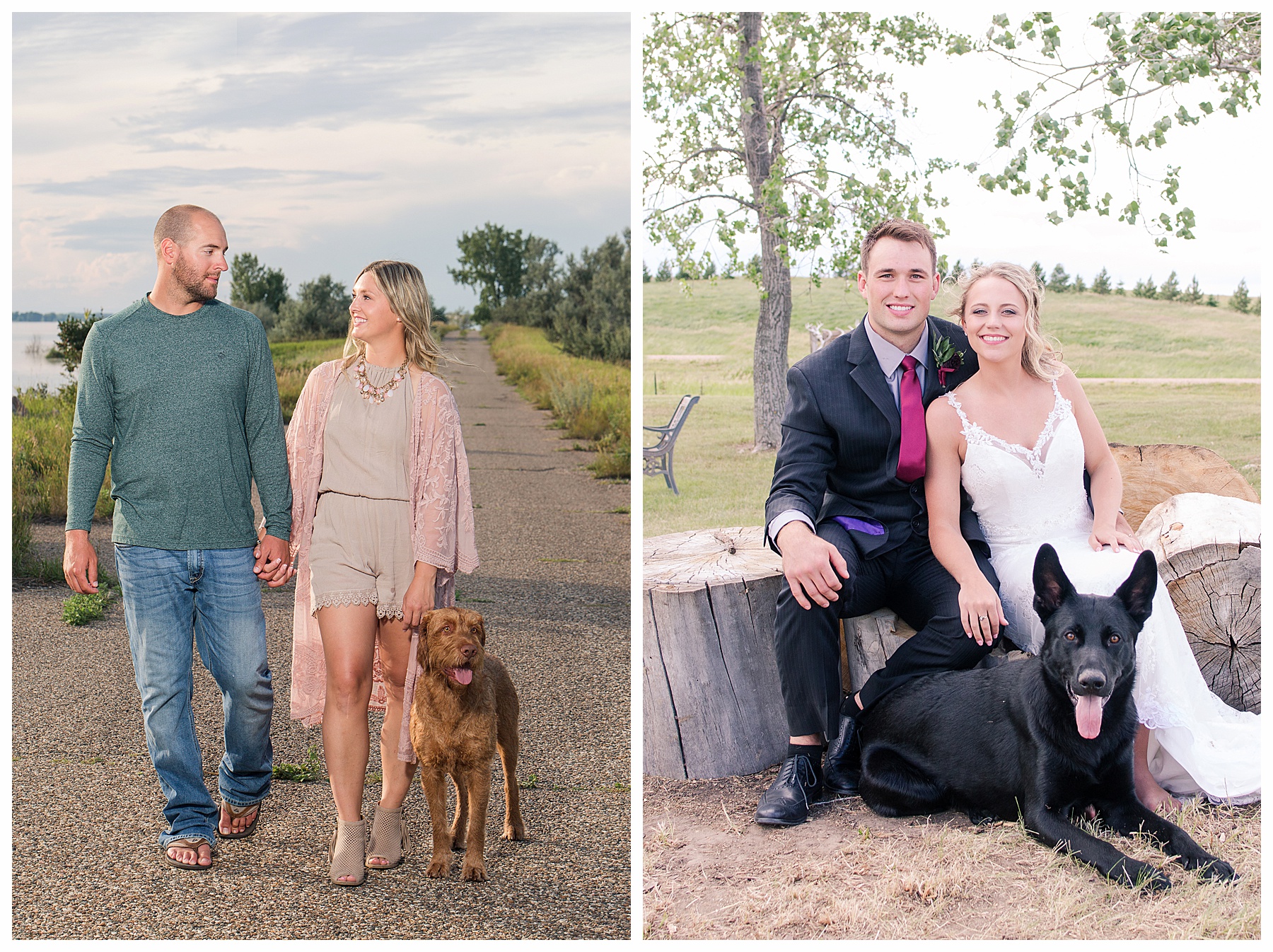 Engagement pictures and wedding pictures with dogs