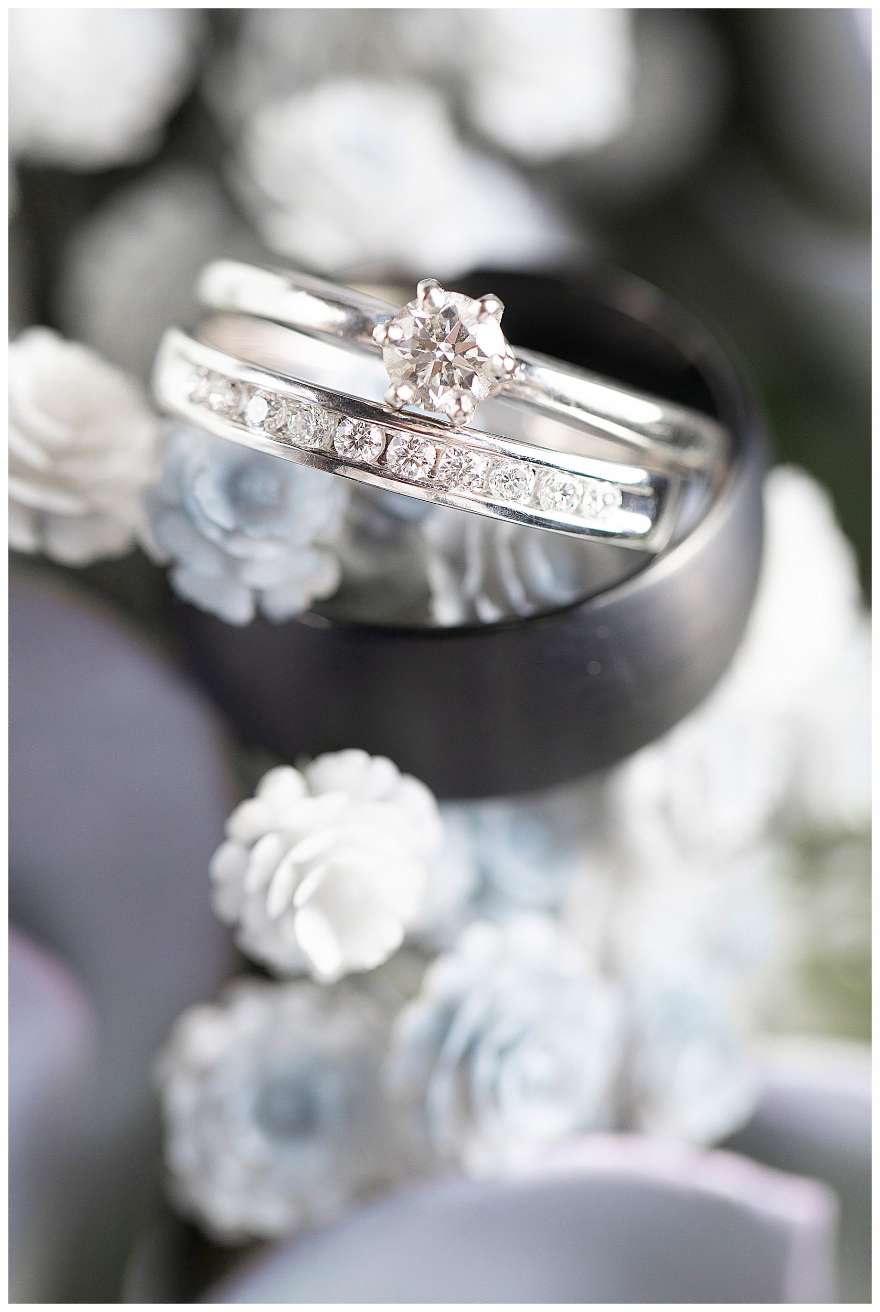 blue and grey succulents behind wedding rings in a beautiful detail ring shot. Celebrating Love during Social Isolation