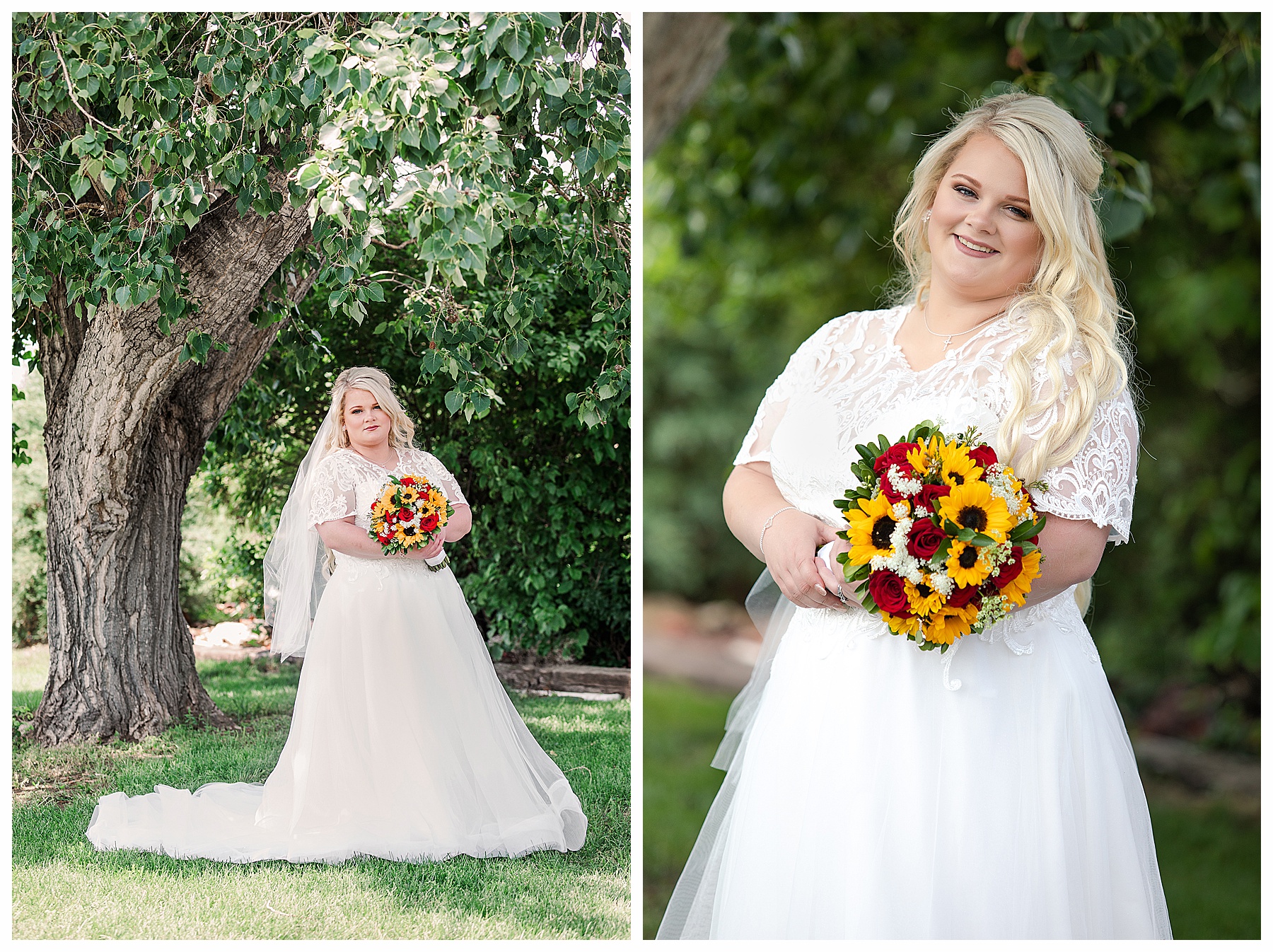 Bride under big tree.  Wedding photographer in Dickinson, ND