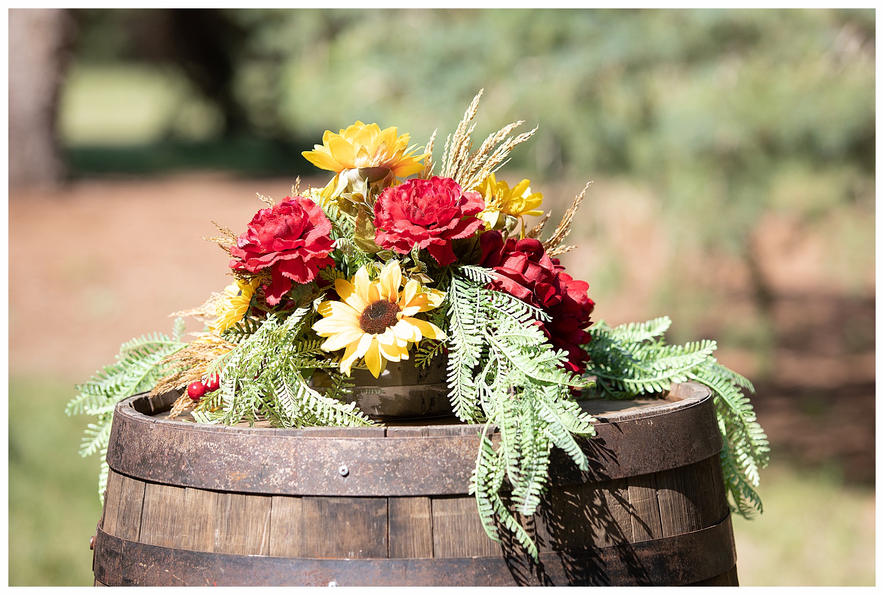 sunflowers and red roses outdoor wedding decor