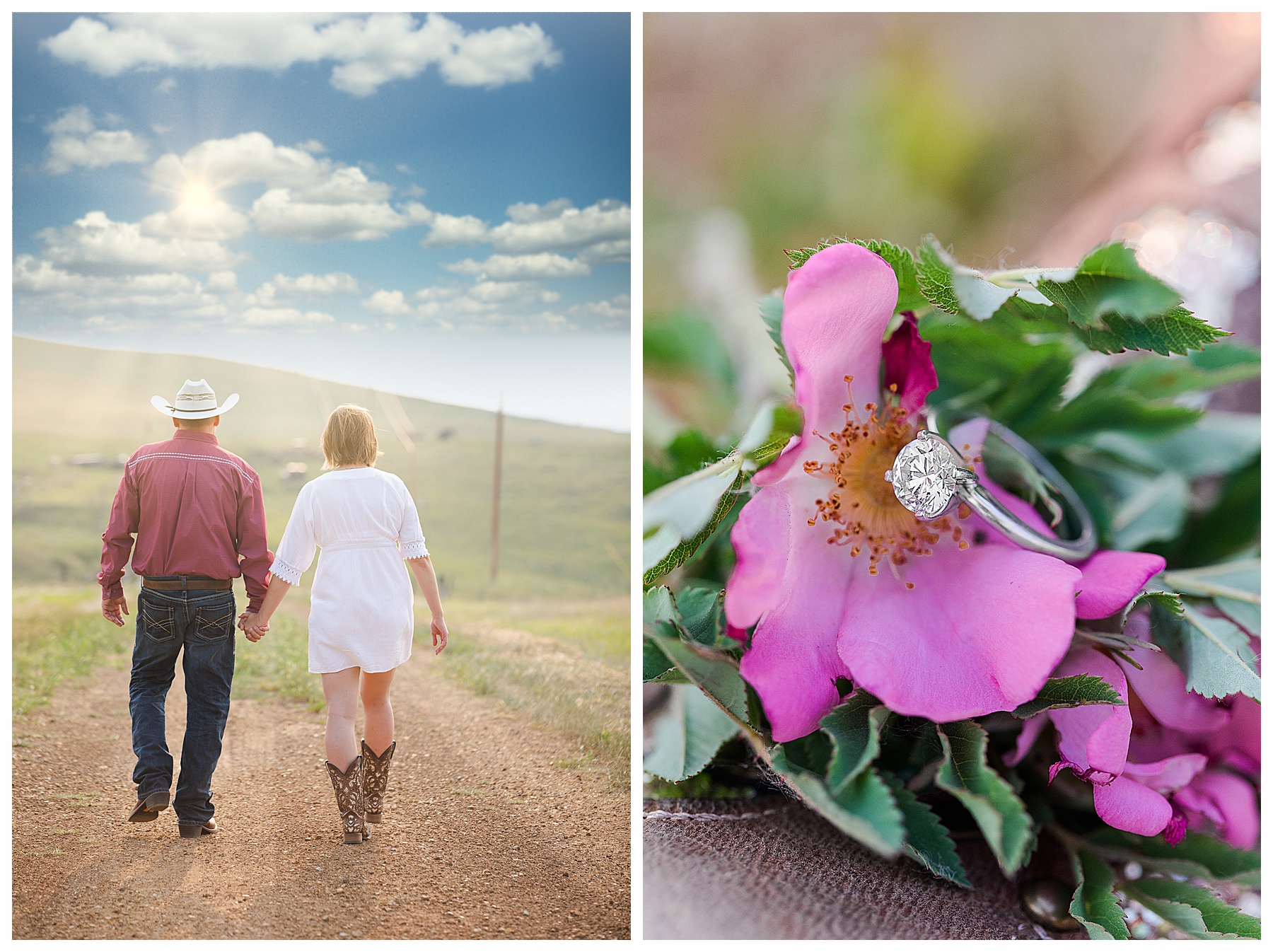 engagement ring with wild prairie rose.  Couple walk into sunset