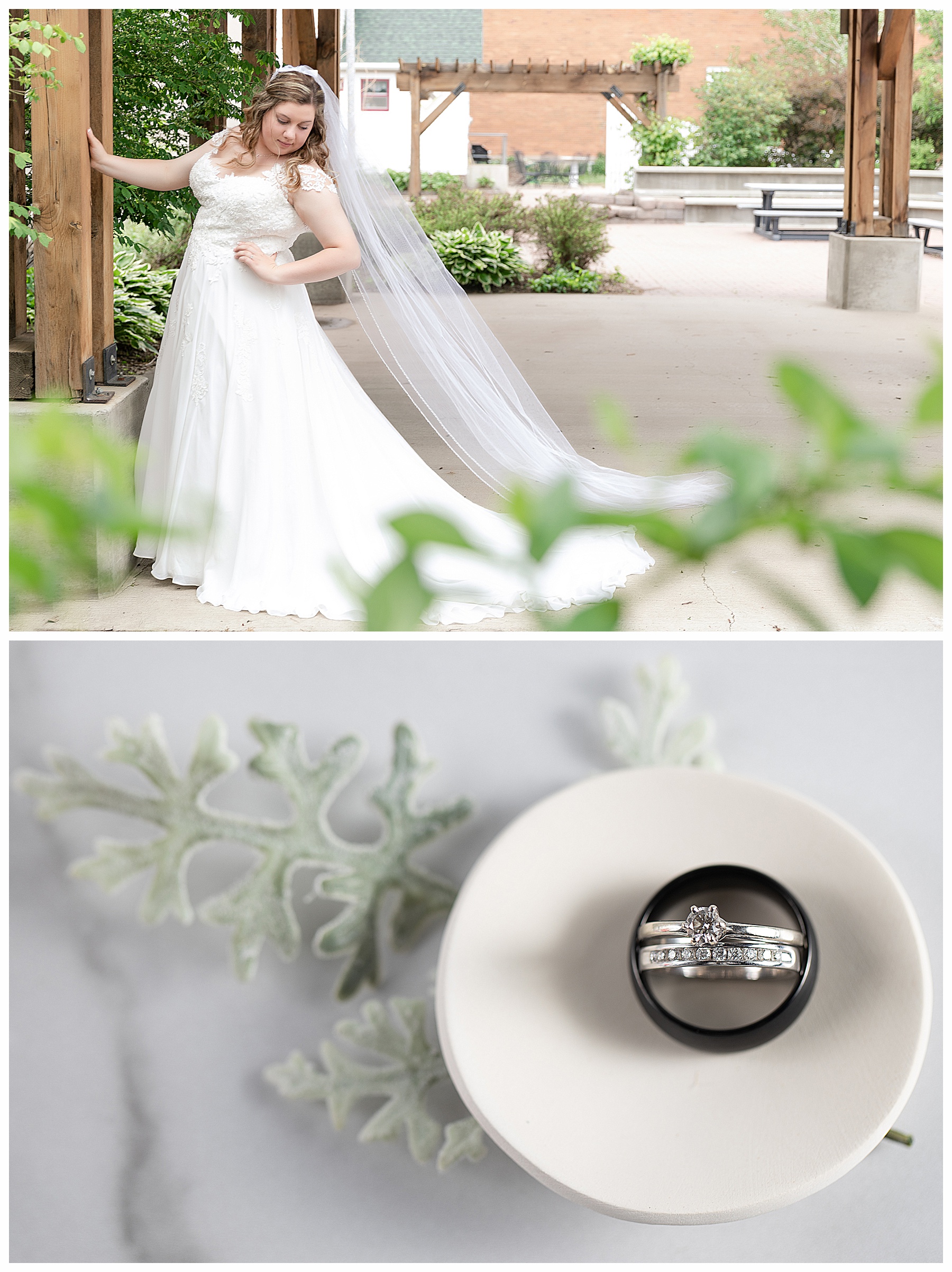 Bride in gown and cathedral veil with leaves in foreground. Special Hazen Wedding