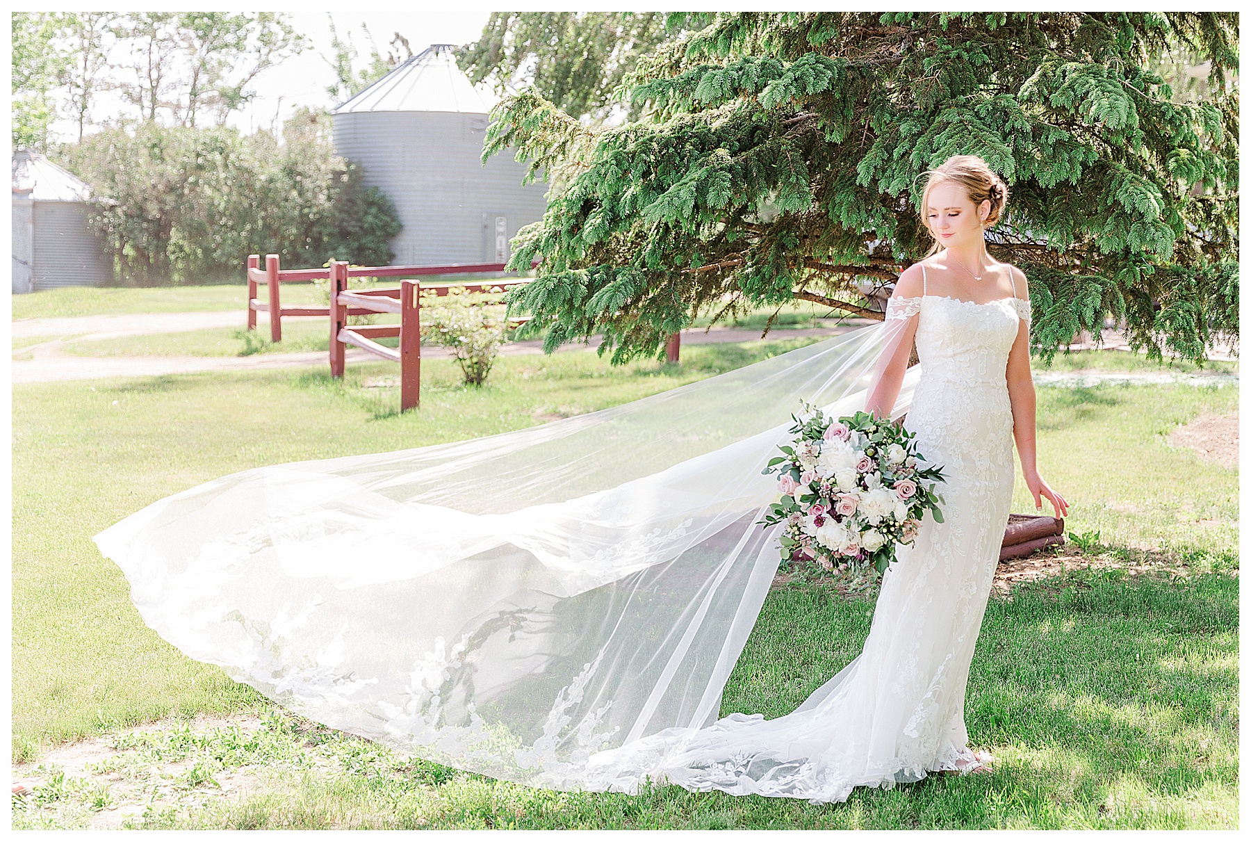 Bride with veil sleeves blowing in the wind.  Bismarck farm wedding photos.  Wonderful windy Summer wedding
